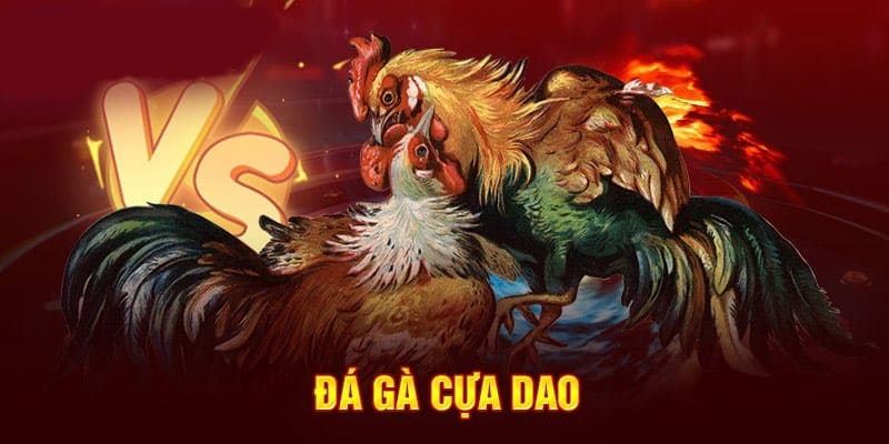 Kịch tính nghẹt thở trong từng khoảnh khắc tại sảnh cược đá gà cựa dao Kịch tính nghẹt thở trong từng khoảnh khắc tại sảnh cược đá gà cựa dao