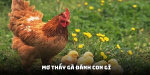 mơ thấy gà đánh con gì