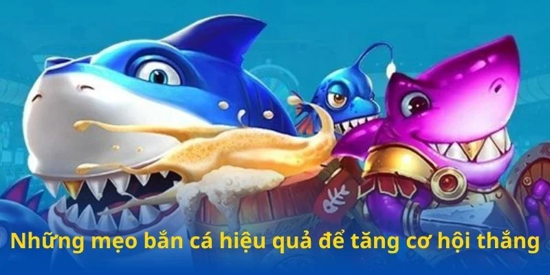 Những mẹo bắn cá hiệu quả thắng lớn Những mẹo bắn cá hiệu quả thắng lớn